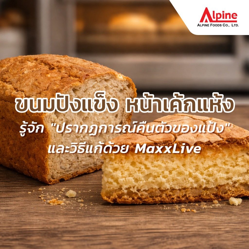 ขนมปังแข็ง หน้าเค้กแห้ง? รู้จัก “ปรากฏการณ์คืนตัวของแป้ง” และวิธีแก้ด้วย MaxxLive